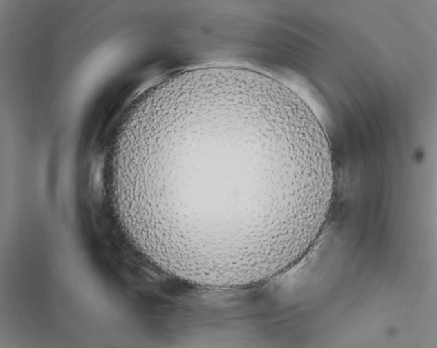 X0000116881150201001191738