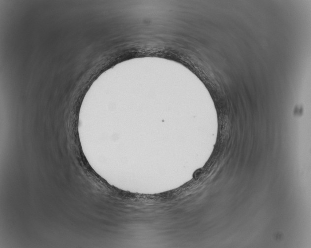 X0000116881153201001191738