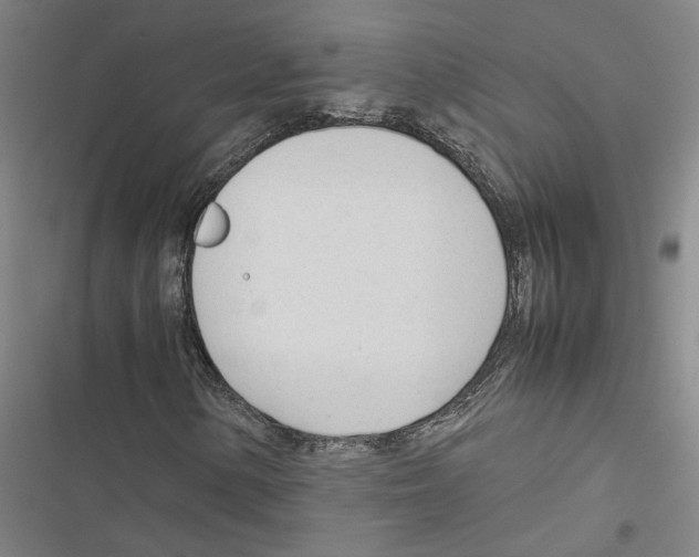 X0000116881154201001191738