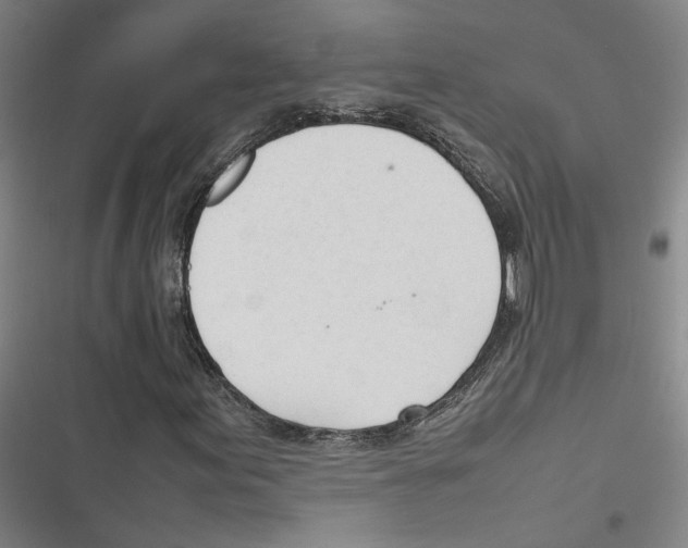X0000116881155201001191738