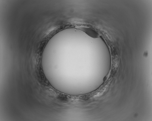 X0000116881157201001191738