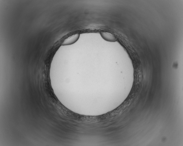 X0000116881158201001191738
