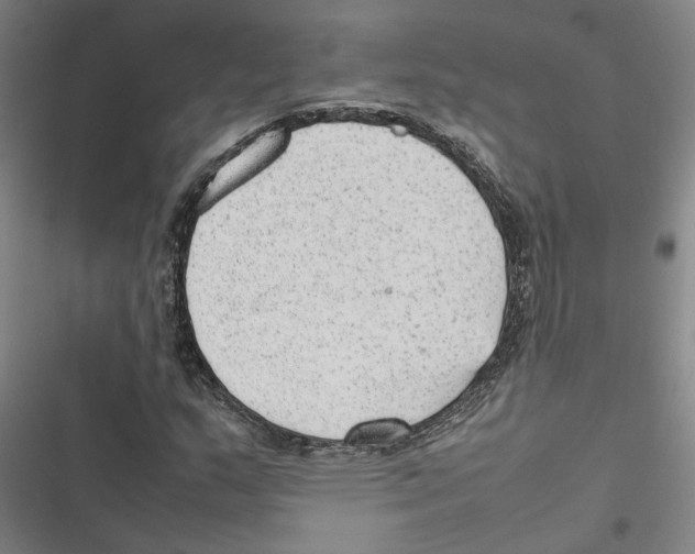 X0000116881159201001191738