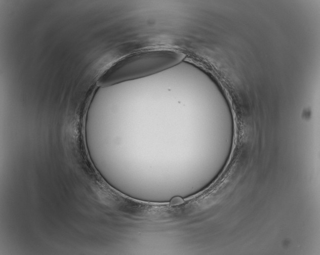 X0000116881161201001191738