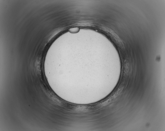 X0000116881162201001191738
