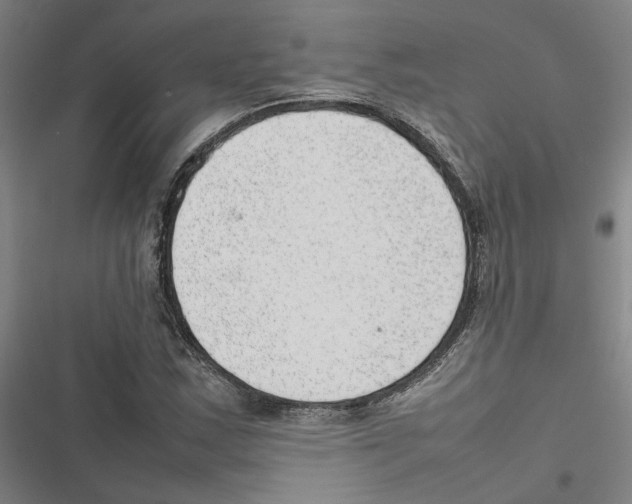 X0000116881163201001191738