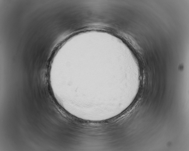 X0000116881164201001191738