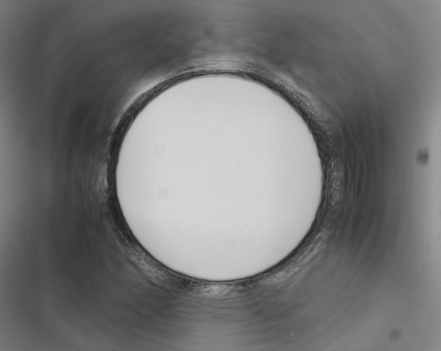 X0000116881166201001191738