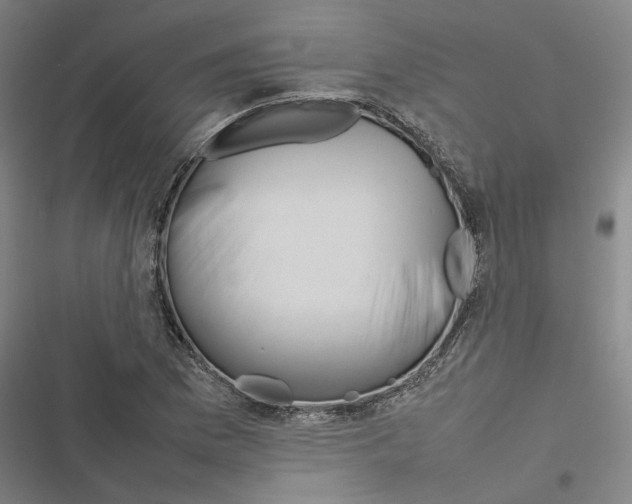 X0000116881169201001191738