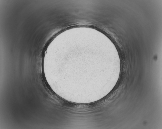 X0000116881171201001191738