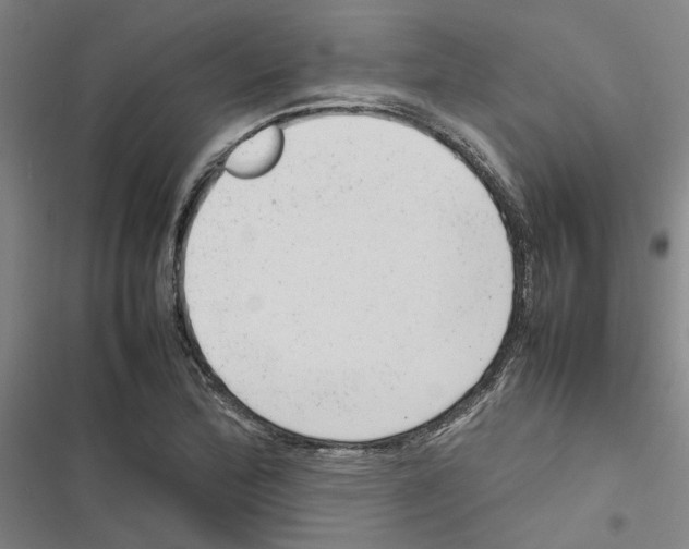 X0000116881172201001191738