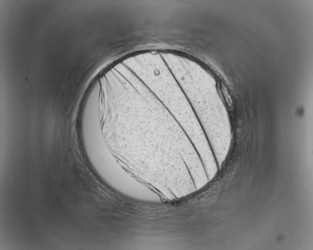X0000116881173201001191738