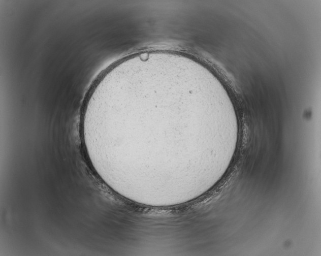 X0000116881174201001191738