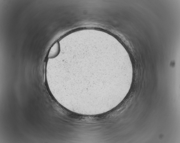 X0000116881175201001191738
