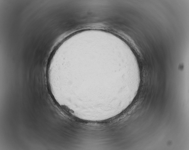 X0000116881176201001191737