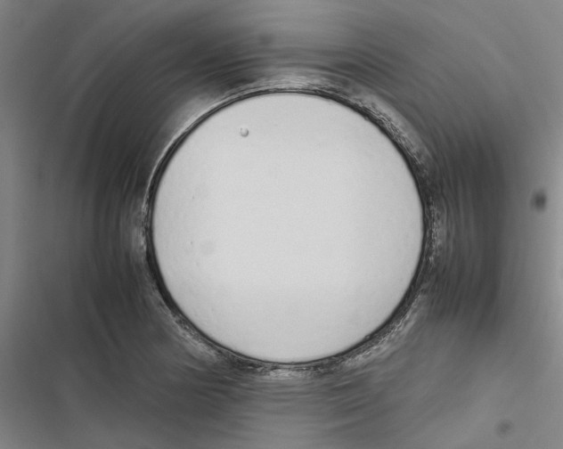 X0000116881178201001191737