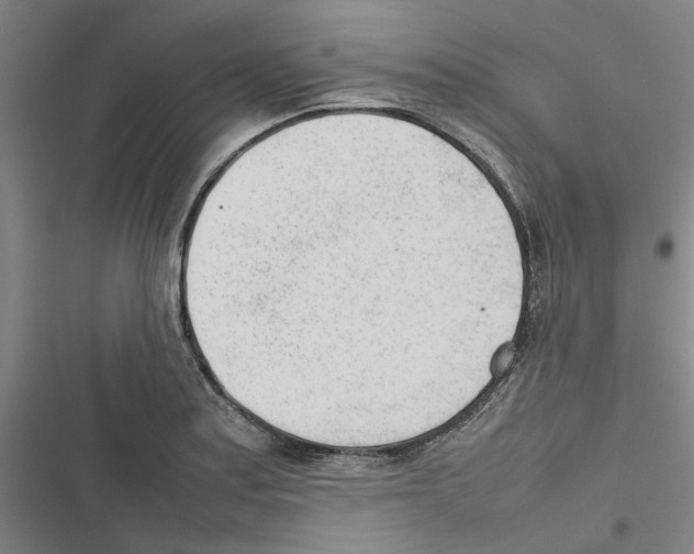 X0000116881179201001191737