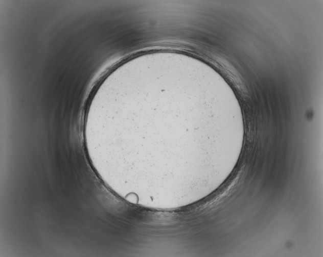 X0000116881180201001191737