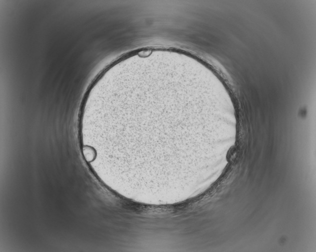 X0000116881183201001191737