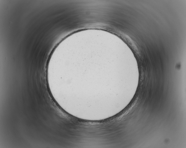X0000116881184201001191737