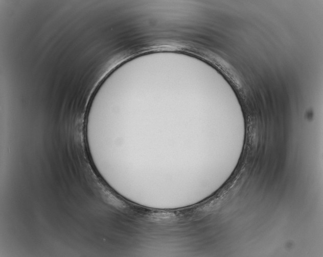 X0000116881186201001191737