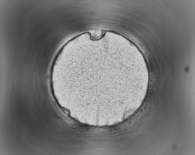 X0000116881187201001191737