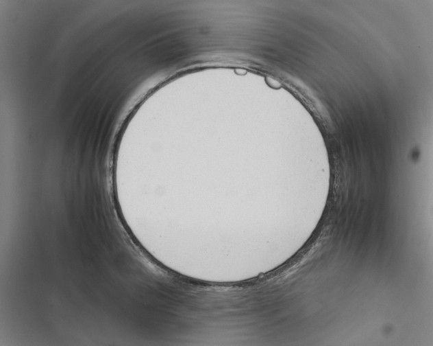 X0000116881188201001191737