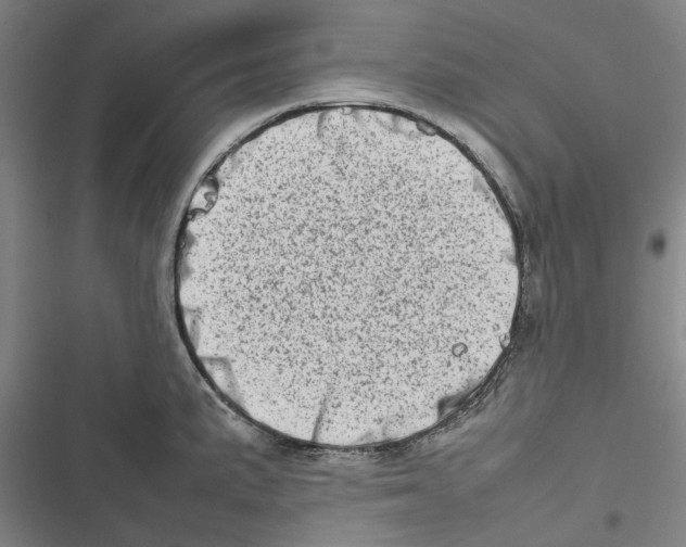 X0000116881191201001191737