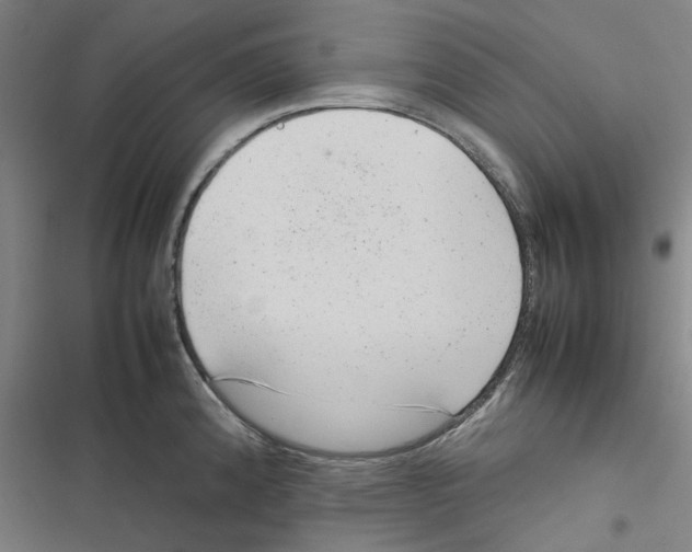 X0000116881192201001191737