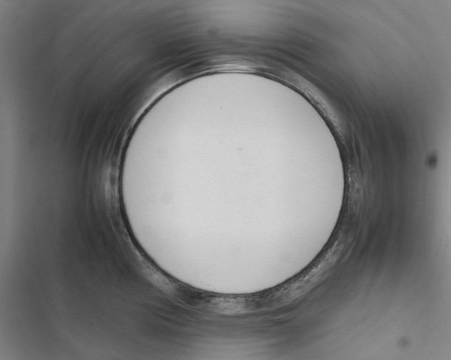 X0000116881194201001191737