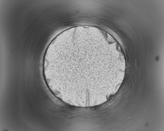 X0000116881195201001191737