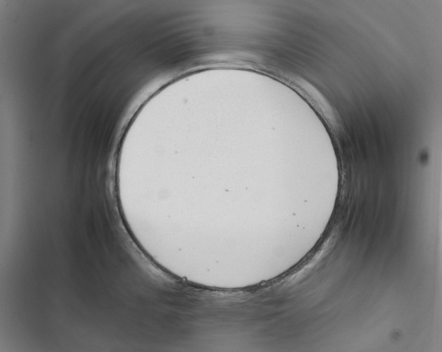 X0000116881196201001191737