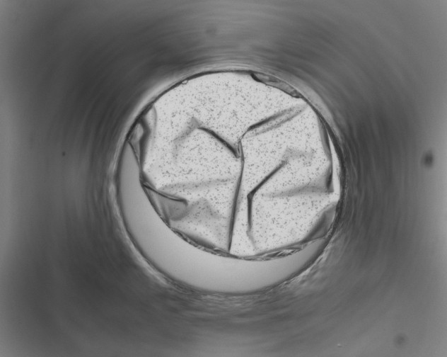 X0000116881197201001191737