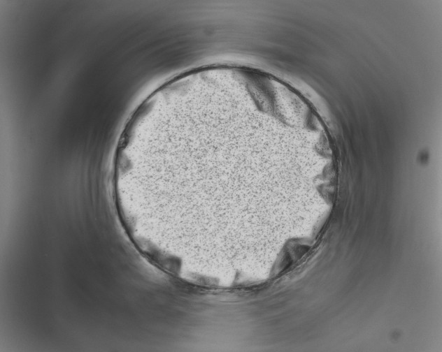 X0000116881199201001191737