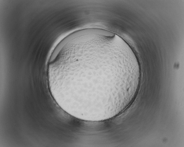X0000116881200201001191737