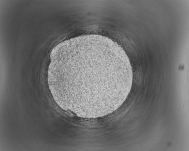 X0000116881201201001191737