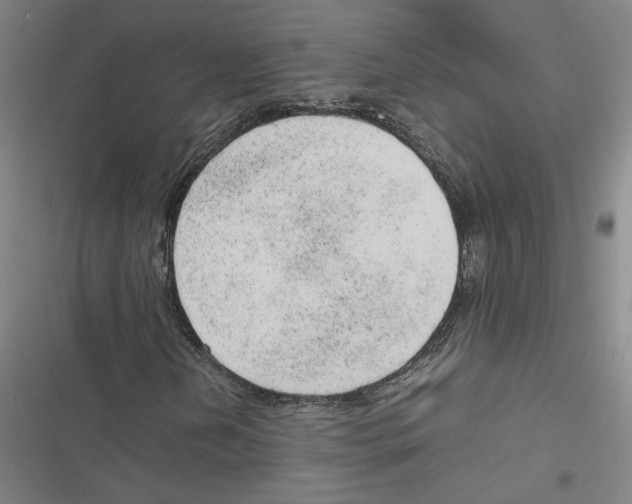 X0000116881202201001191737