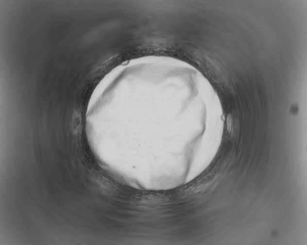X0000116881203201001191737