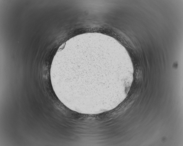 X0000116881204201001191737