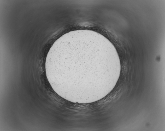 X0000116881205201001191737