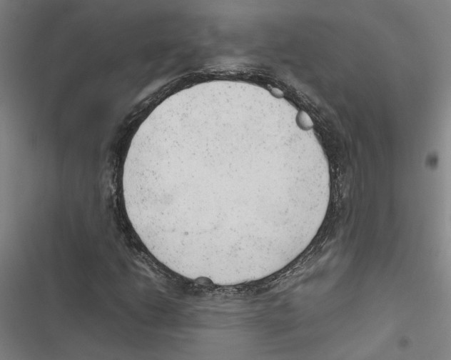 X0000116881206201001191737