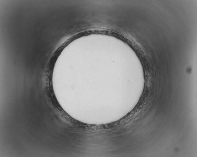 X0000116881208201001191737