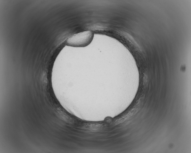 X0000116881209201001191737