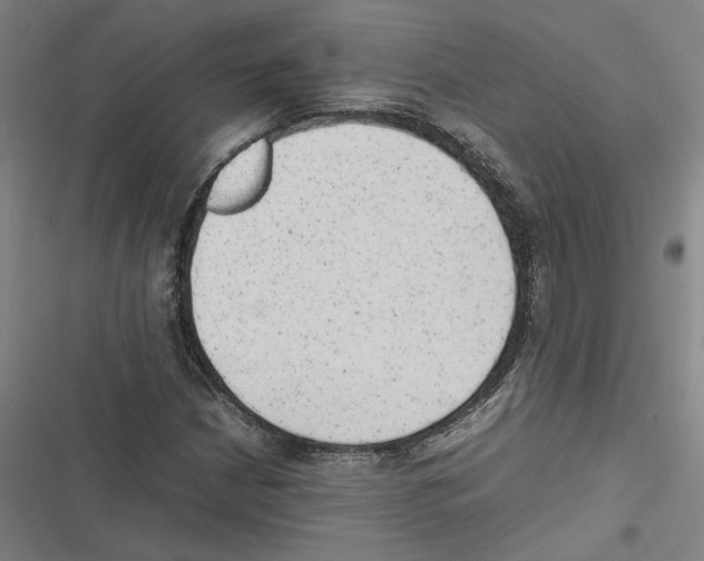 X0000116881210201001191737