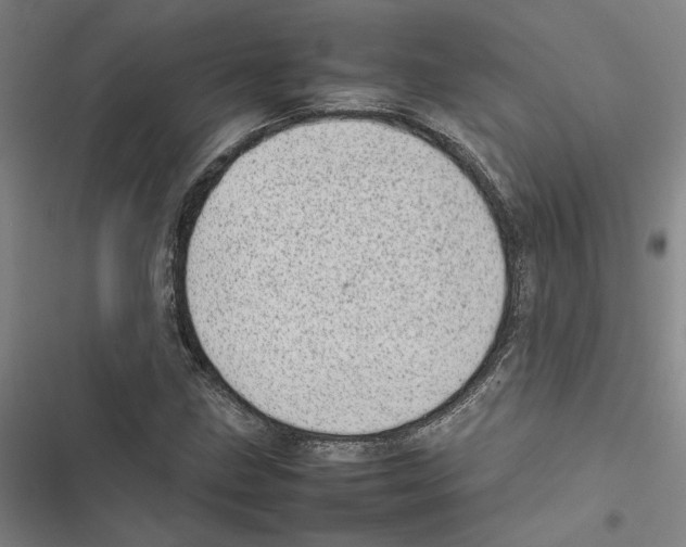 X0000116881211201001191737