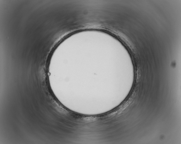 X0000116881212201001191737
