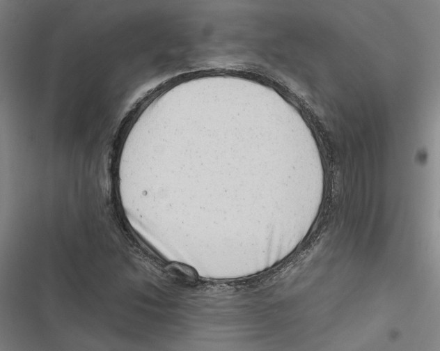 X0000116881214201001191737