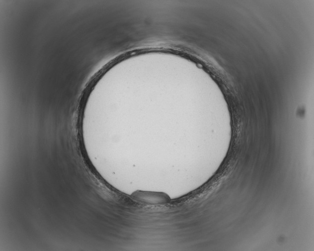 X0000116881216201001191737
