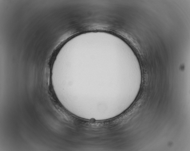 X0000116881219201001191737