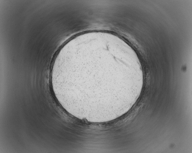 X0000116881220201001191737